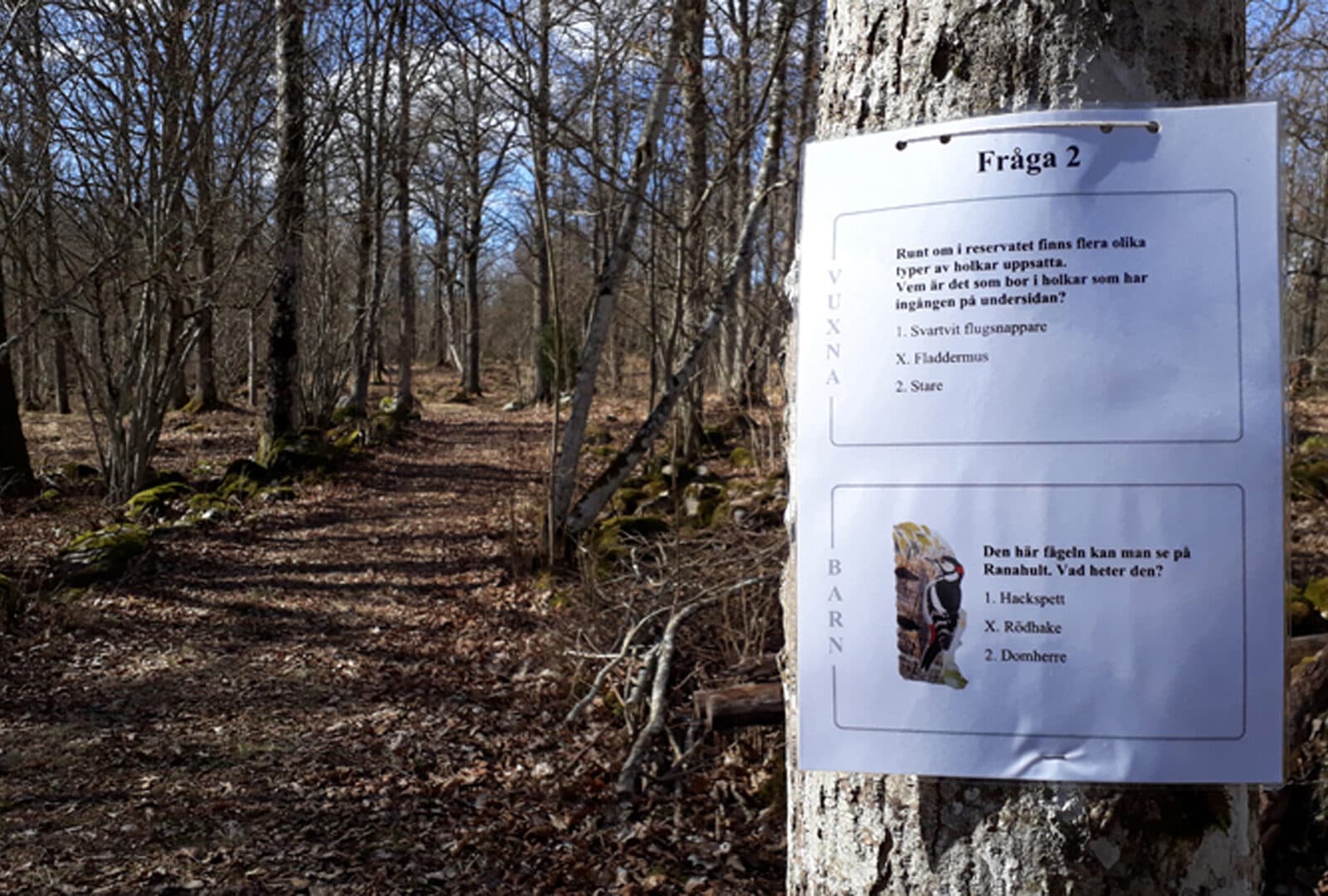 Tipsfråga uppsatt på en trädstam